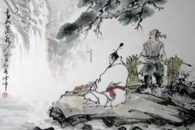 小太阳鹦鹉几个月一岁？